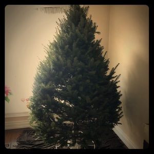 Meet your Posher, Sherri